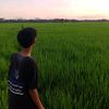 sekem.23