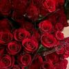 soumaya_327