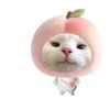 douangchan.douaan