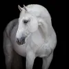 that_one_eq