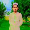 hafizalihasnain134