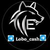 Lobo_cashhg5