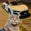user210395672