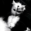 iahmed_990