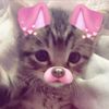 izab_vizzq