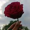 Anhar🥀🇱🇾