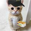 mari_k1tty