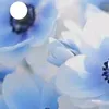 sara.yasmine10