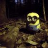 staringminion