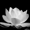123giang.k