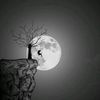 cryven.xo