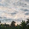 fajar11_6