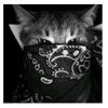 kitty_catt978