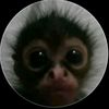 elmonito041