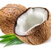 coconut1142