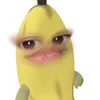 lvijxna