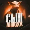 nurikbustit7