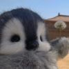 naanayyww_