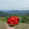 caobang0801