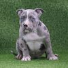 eddie.g4344