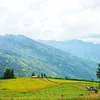 xuandieu734