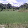 user15609919210724