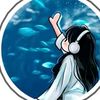 prawa513