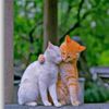 emraner_bow54