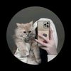 imcatlover55