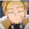 hawks132093