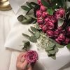 reem_50300