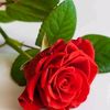 sk.yakub391