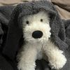 doodlemixpups