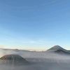 pillii_aa
