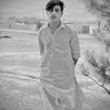 sherkhan8759