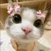 loverss_cutiee