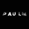 fake.jpaul