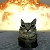 cats27.03.25