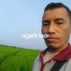 bakol.setrom8