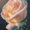 bdsb.bdhxh