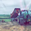 pepitojd6195r