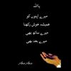 amiramin1061