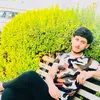 xoshnaw_278