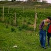 umud.11