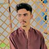 sajjadali60026