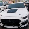 ali229817