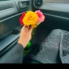 munni0264
