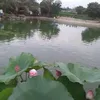 son.nguyen.ngoc.s57