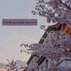 wahib9264