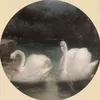 nkdjdlpqym4